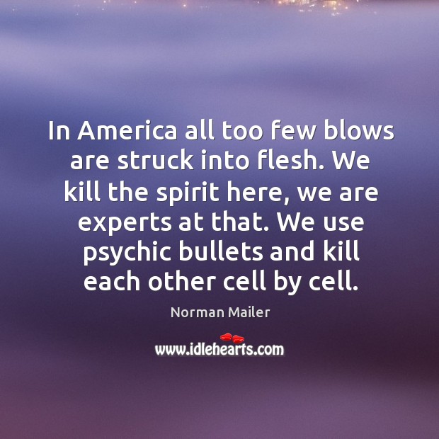 In america all too few blows are struck into flesh. Norman Mailer Picture Quote