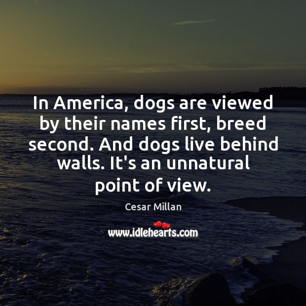In America, dogs are viewed by their names first, breed second. And Cesar Millan Picture Quote