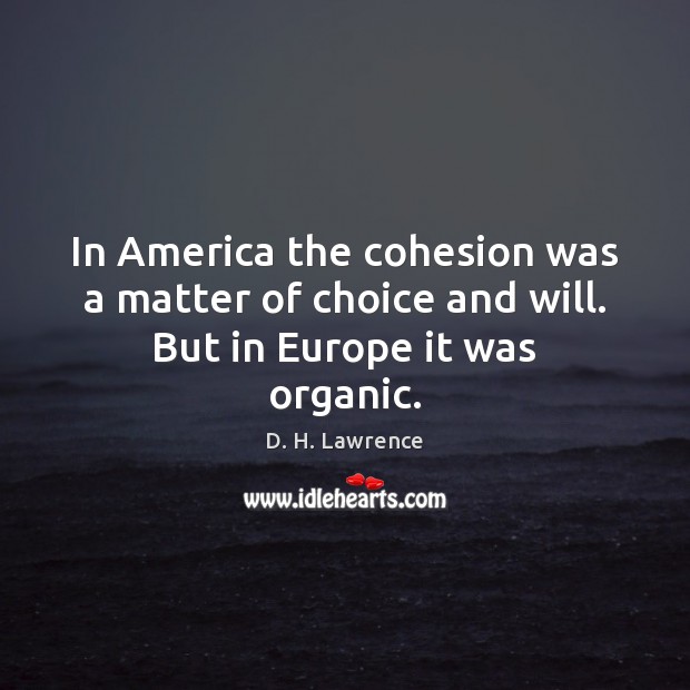 In America the cohesion was a matter of choice and will. But in Europe it was organic. D. H. Lawrence Picture Quote