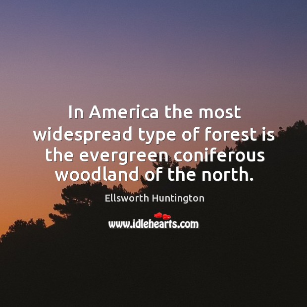 In america the most widespread type of forest is the evergreen coniferous woodland of the north. Ellsworth Huntington Picture Quote