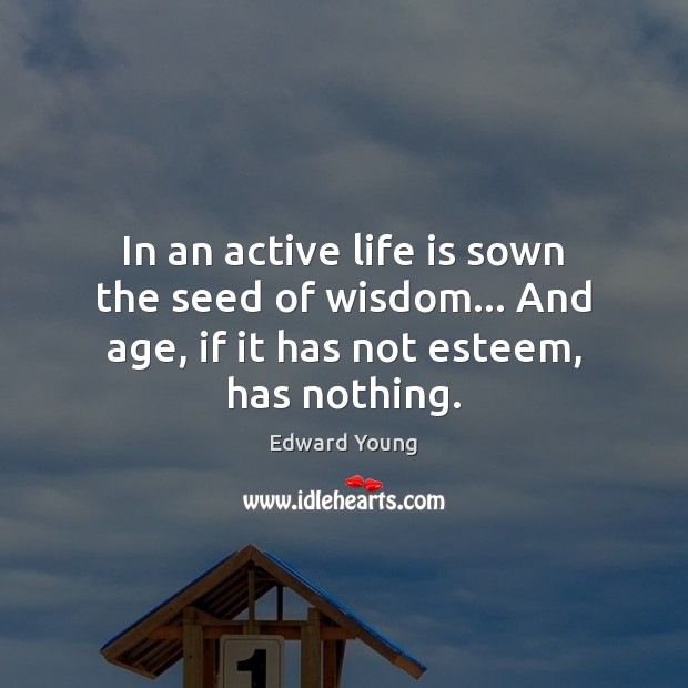 In an active life is sown the seed of wisdom… And age, Edward Young Picture Quote