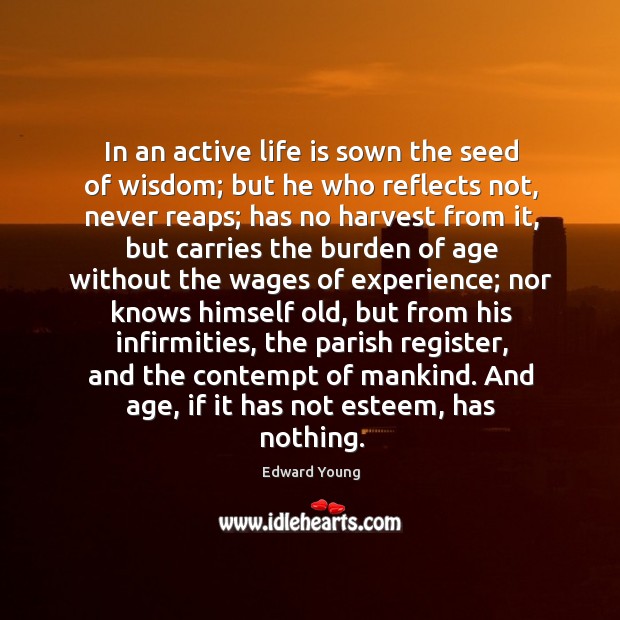 In an active life is sown the seed of wisdom; but he who reflects not, never reaps Image