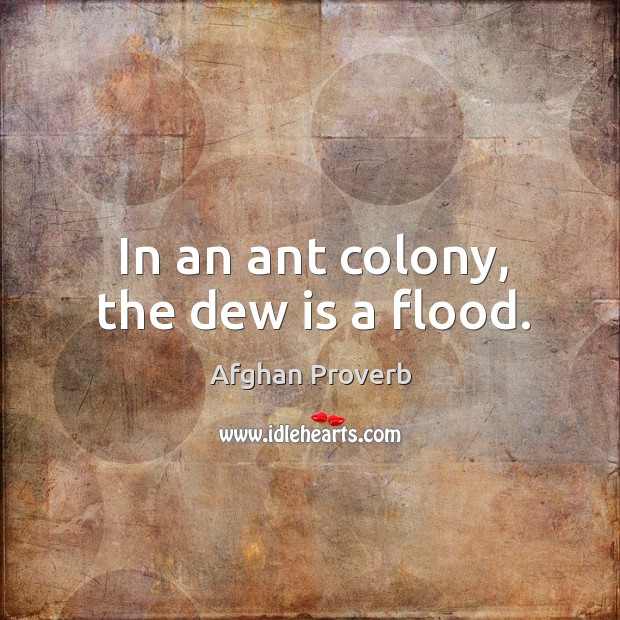 In an ant colony, the dew is a flood. Afghan Proverbs Image