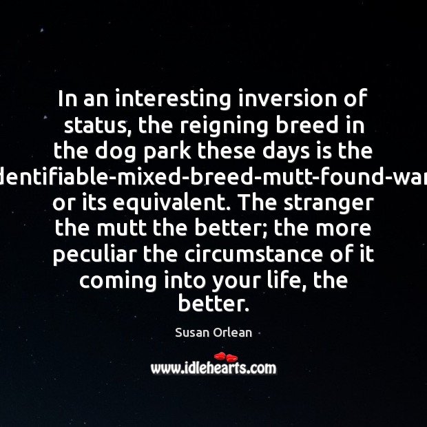 In an interesting inversion of status, the reigning breed in the dog Susan Orlean Picture Quote