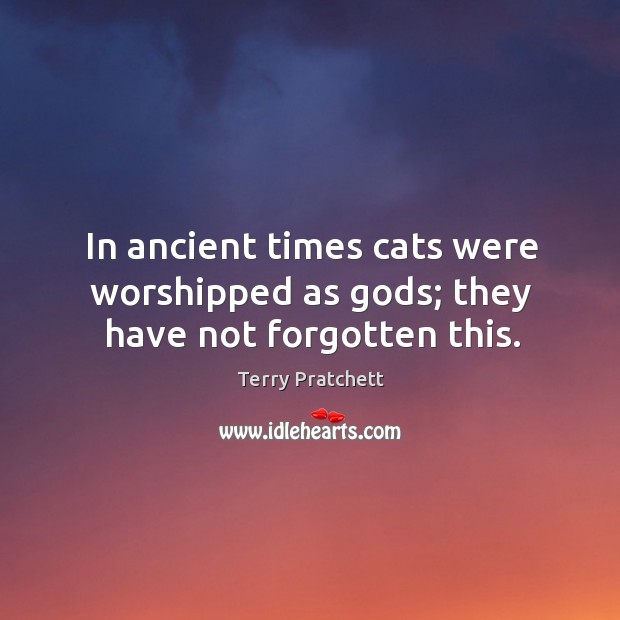 In ancient times cats were worshipped as Gods; they have not forgotten this. Image