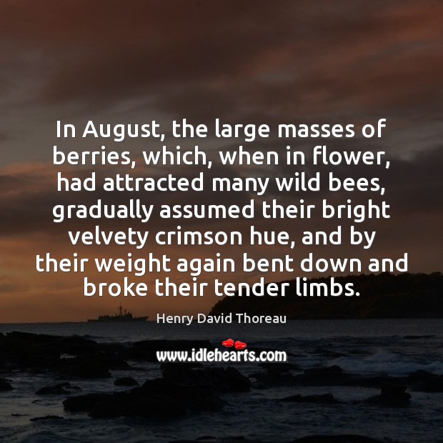 In August, the large masses of berries, which, when in flower, had Flowers Quotes Image