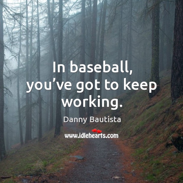 In baseball, you’ve got to keep working. Danny Bautista Picture Quote