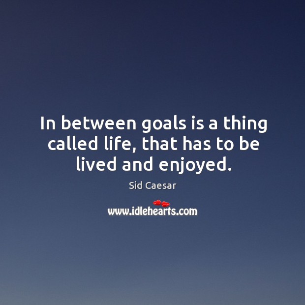 In between goals is a thing called life, that has to be lived and enjoyed. Image