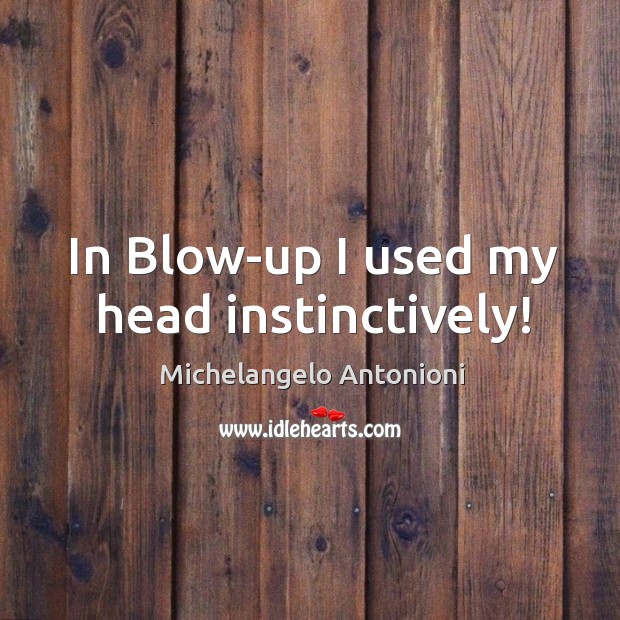In blow-up I used my head instinctively! Michelangelo Antonioni Picture Quote