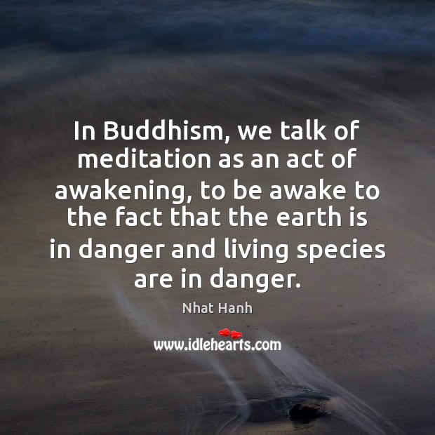 In Buddhism, we talk of meditation as an act of awakening, to Nhat Hanh Picture Quote