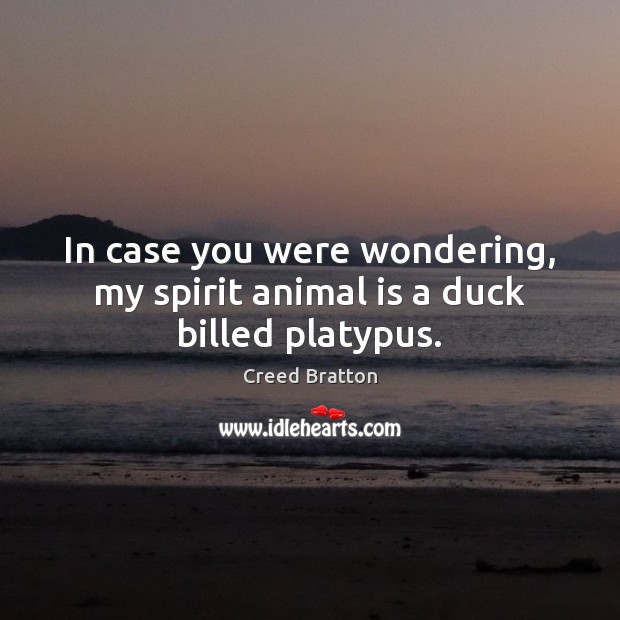 In case you were wondering, my spirit animal is a duck billed platypus. Image