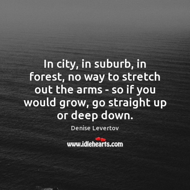 In city, in suburb, in forest, no way to stretch out the Denise Levertov Picture Quote