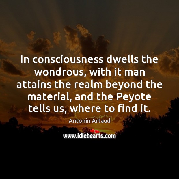 In consciousness dwells the wondrous, with it man attains the realm beyond Image