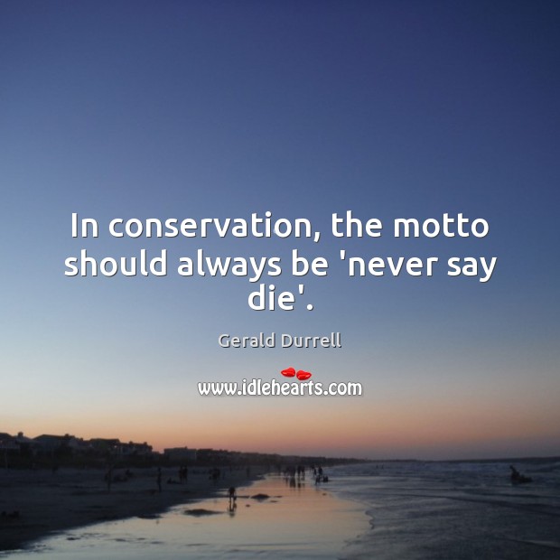 In conservation, the motto should always be ‘never say die’. Gerald Durrell Picture Quote