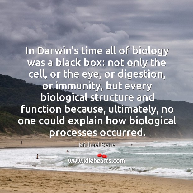 In Darwin’s time all of biology was a black box: not only Michael Behe Picture Quote
