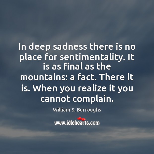 In deep sadness there is no place for sentimentality. It is as William S. Burroughs Picture Quote