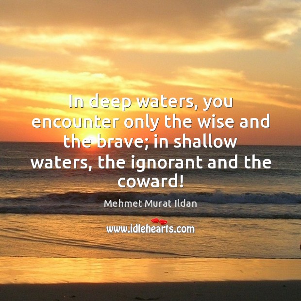In deep waters, you encounter only the wise and the brave; in Image
