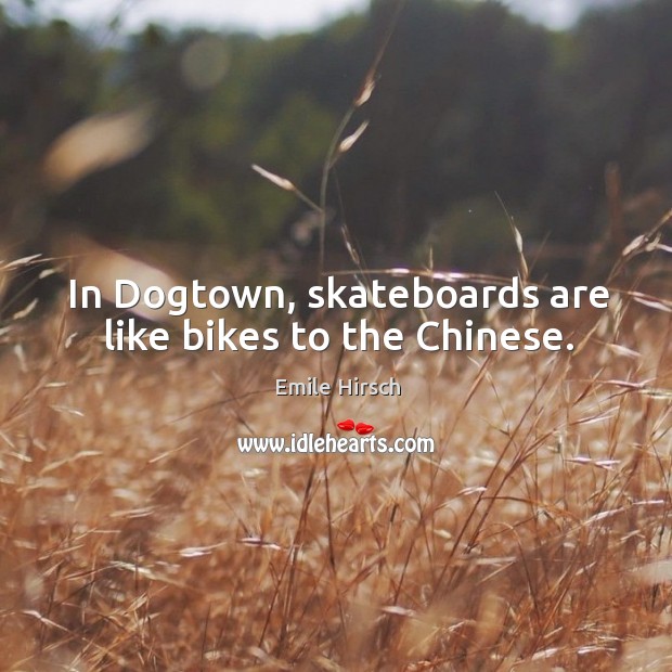 In dogtown, skateboards are like bikes to the chinese. Image