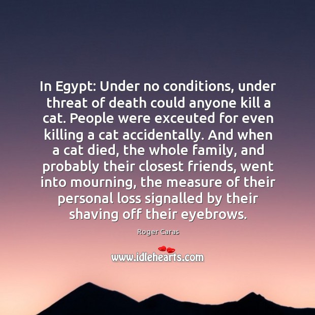 In Egypt: Under no conditions, under threat of death could anyone kill Roger Caras Picture Quote