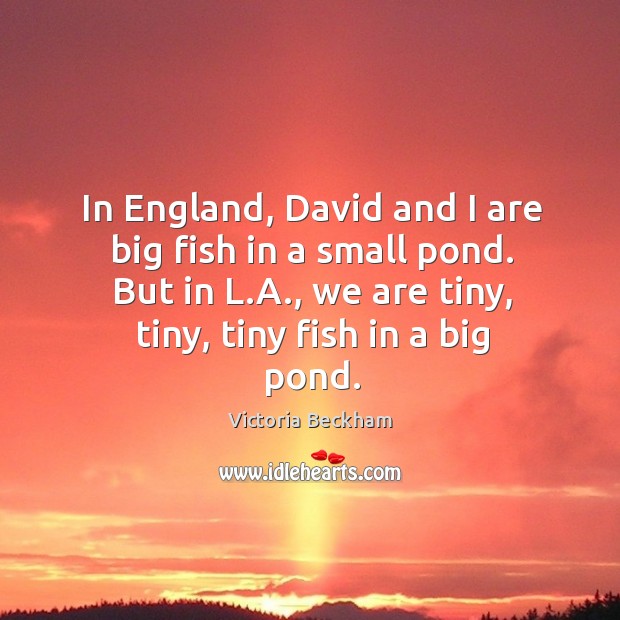 In england, david and I are big fish in a small pond. But in l.a., we are tiny, tiny, tiny fish in a big pond. Victoria Beckham Picture Quote