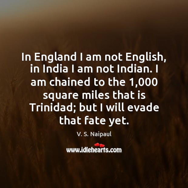 In England I am not English, in India I am not Indian. V. S. Naipaul Picture Quote