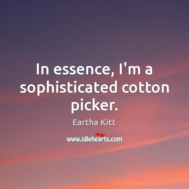 In essence, I’m a sophisticated cotton picker. Eartha Kitt Picture Quote