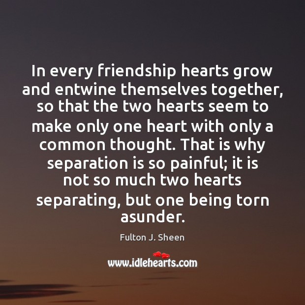 In every friendship hearts grow and entwine themselves together, so that the Fulton J. Sheen Picture Quote