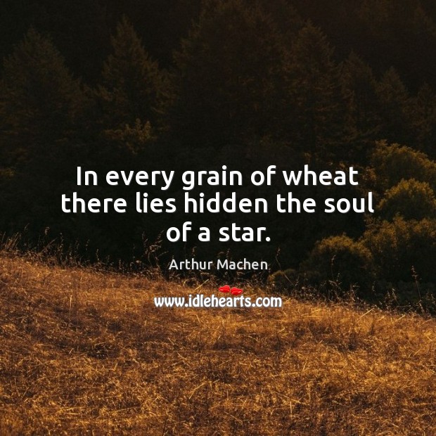 In every grain of wheat there lies hidden the soul of a star. Arthur Machen Picture Quote