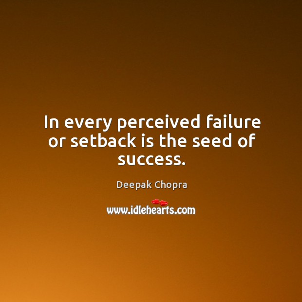 In every perceived failure or setback is the seed of success. Image