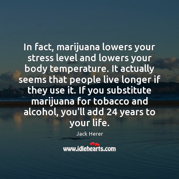 In fact, marijuana lowers your stress level and lowers your body temperature. Jack Herer Picture Quote