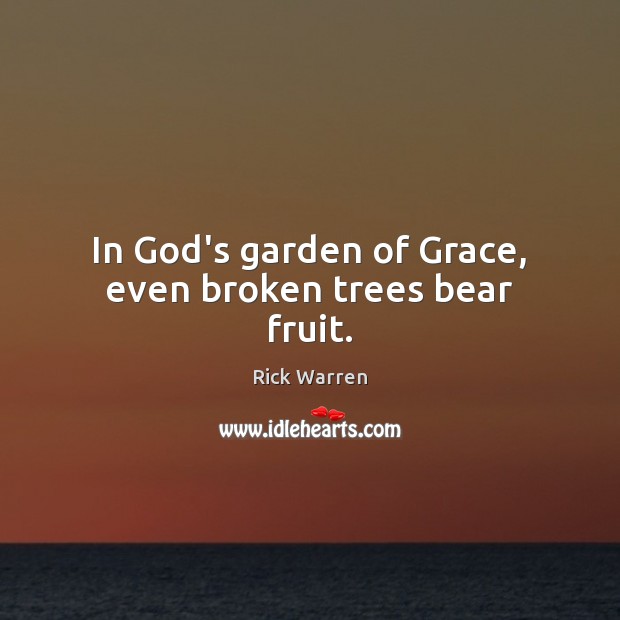 In God’s garden of Grace, even broken trees bear fruit. Rick Warren Picture Quote