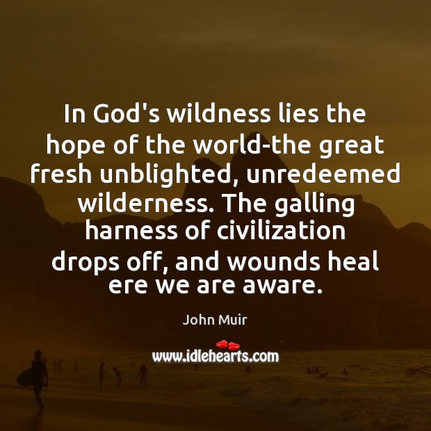 In God’s wildness lies the hope of the world-the great fresh unblighted, John Muir Picture Quote