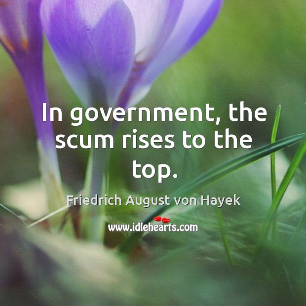 In government, the scum rises to the top. Image