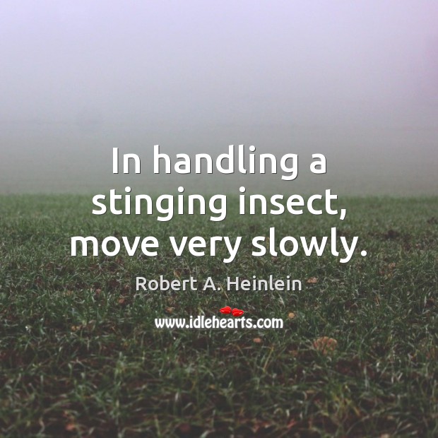 In handling a stinging insect, move very slowly. Image