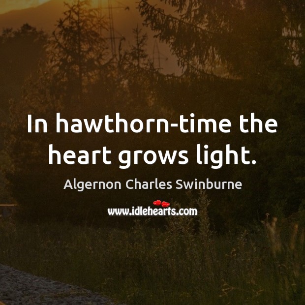 In hawthorn-time the heart grows light. Algernon Charles Swinburne Picture Quote