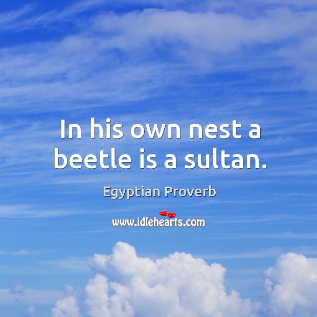 In his own nest a beetle is a sultan. Egyptian Proverbs Image