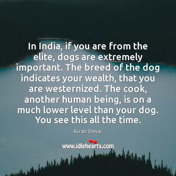 In India, if you are from the elite, dogs are extremely important. Kiran Desai Picture Quote
