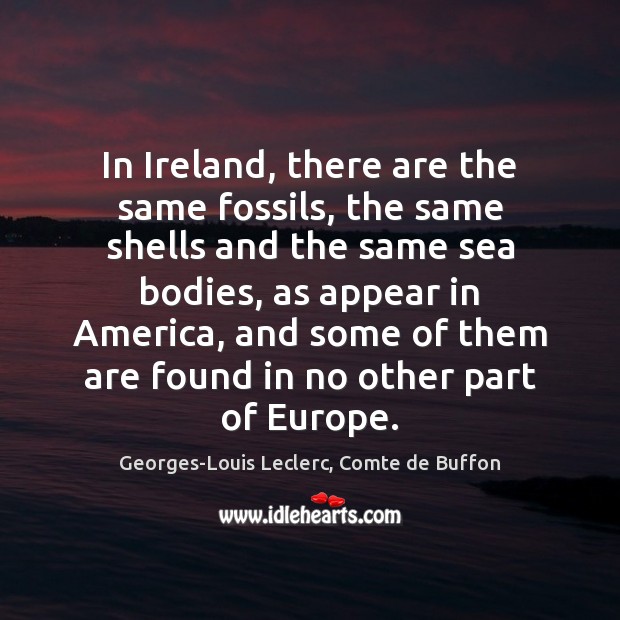 In Ireland, there are the same fossils, the same shells and the Georges-Louis Leclerc, Comte de Buffon Picture Quote