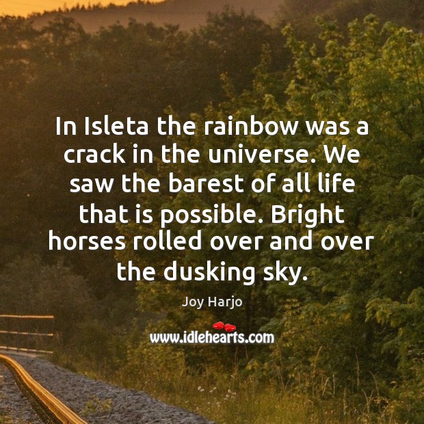 In Isleta the rainbow was a crack in the universe. We saw Joy Harjo Picture Quote