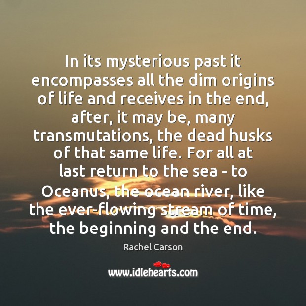 In its mysterious past it encompasses all the dim origins of life Rachel Carson Picture Quote