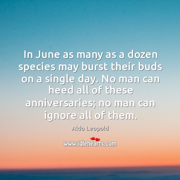 In june as many as a dozen species may burst their buds on a single day. Aldo Leopold Picture Quote
