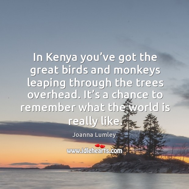 In kenya you’ve got the great birds and monkeys leaping through the trees overhead. Joanna Lumley Picture Quote