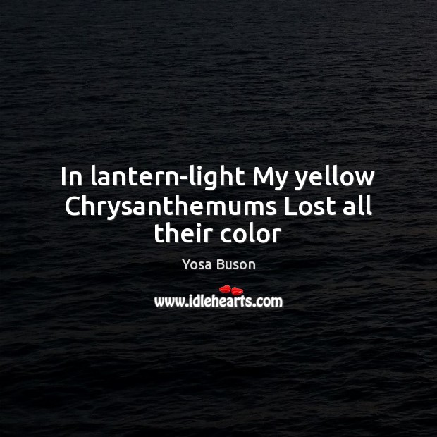 In lantern-light My yellow Chrysanthemums Lost all their color Yosa Buson Picture Quote