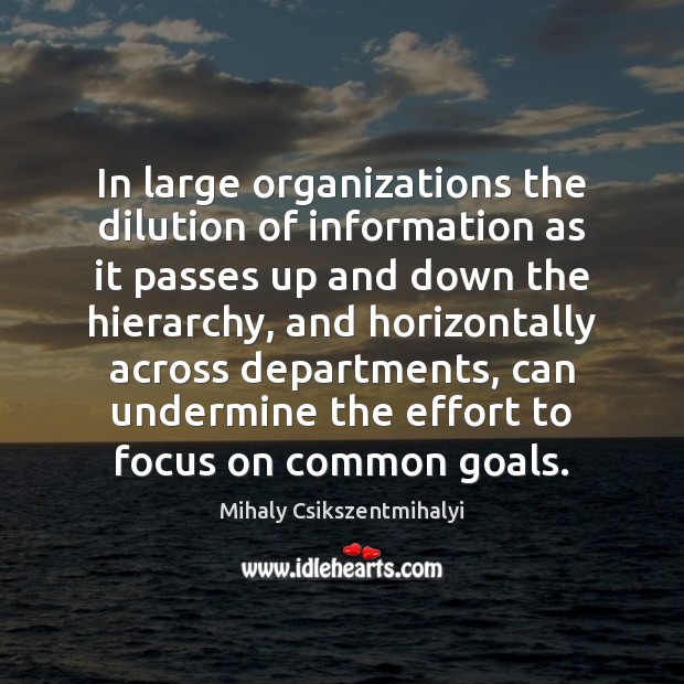In large organizations the dilution of information as it passes up and Mihaly Csikszentmihalyi Picture Quote