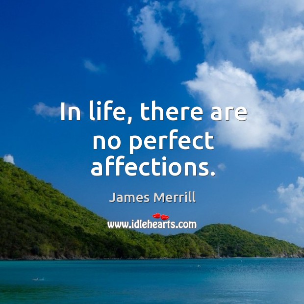 In life, there are no perfect affections. James Merrill Picture Quote