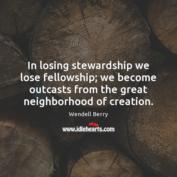 In losing stewardship we lose fellowship; we become outcasts from the great Wendell Berry Picture Quote