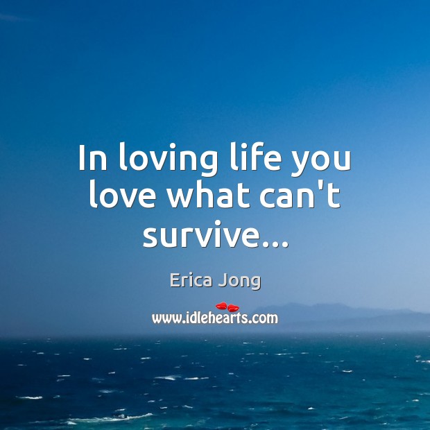 In loving life you love what can’t survive… Image