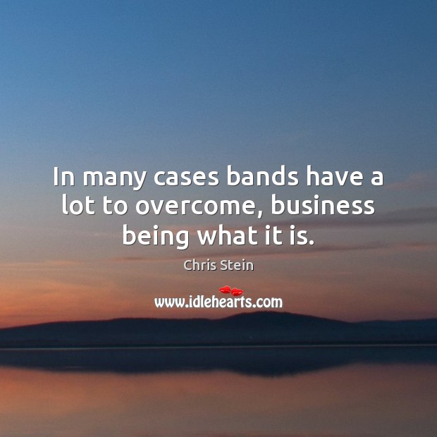 In many cases bands have a lot to overcome, business being what it is. Chris Stein Picture Quote