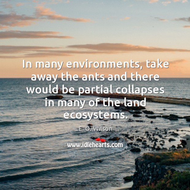 In many environments, take away the ants and there would be partial E. O. Wilson Picture Quote
