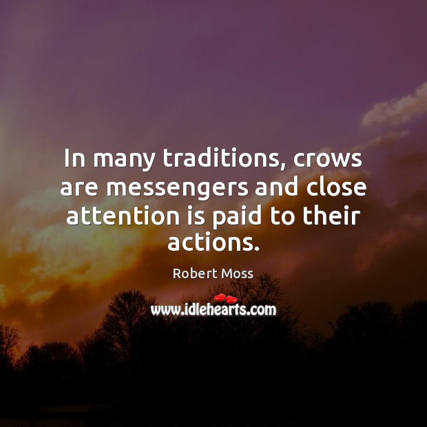 In many traditions, crows are messengers and close attention is paid to their actions. Robert Moss Picture Quote
